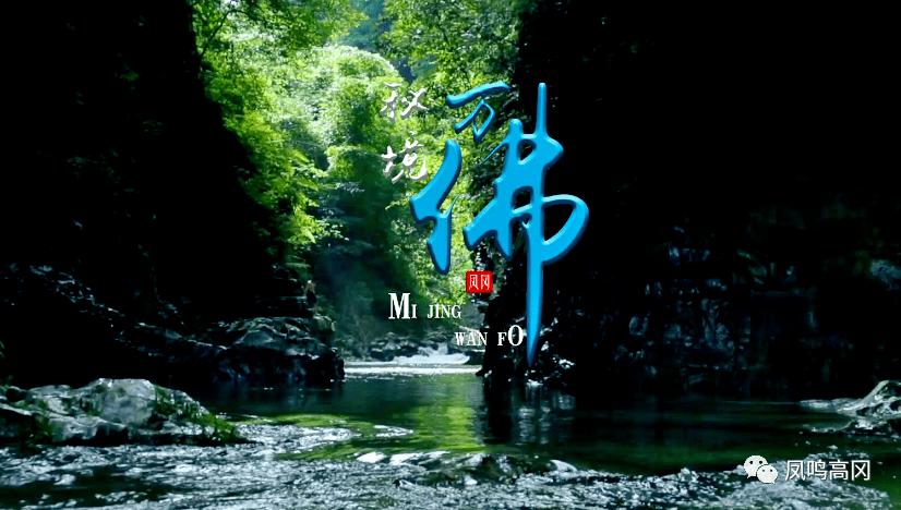 球球大作战下载最新版